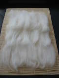 Laying out white merino