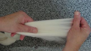 Laying Out The Merino