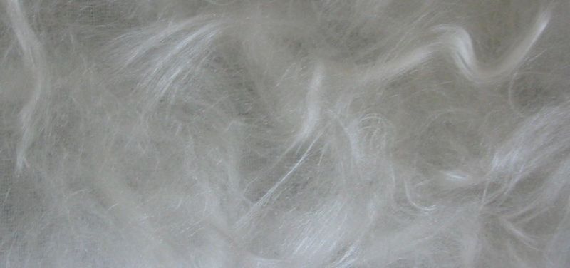 Silk Layer