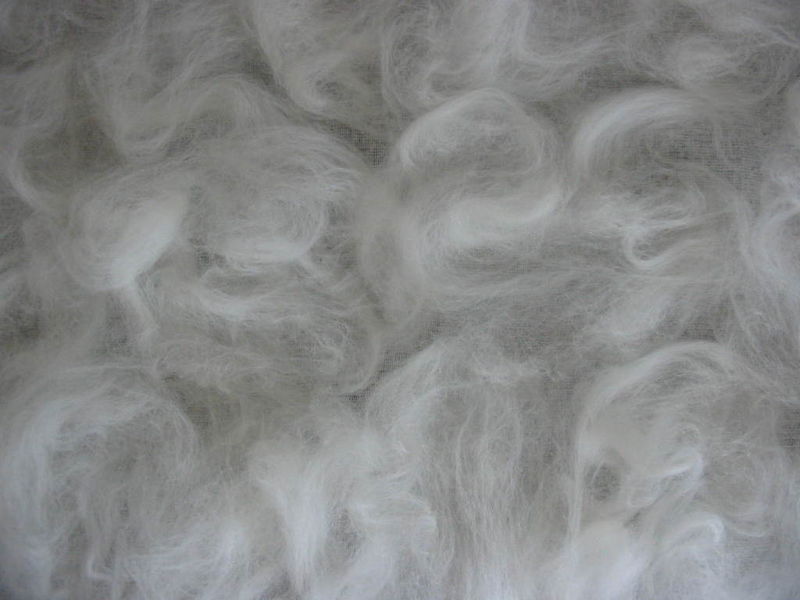 Merino Laid Out