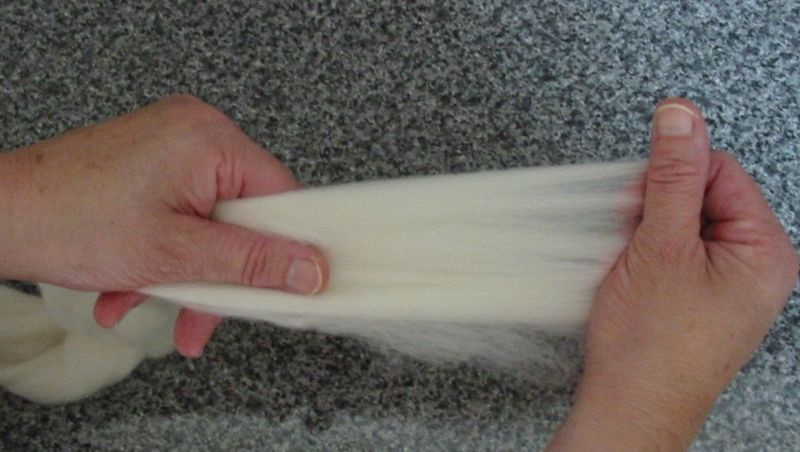 Laying Out The Merino