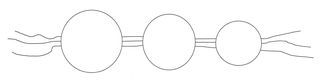 White beads joined with three threads