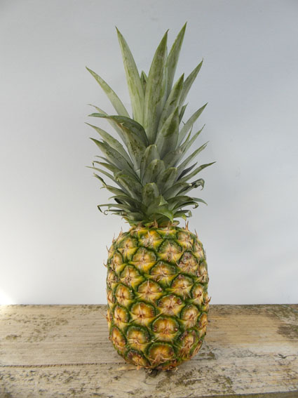 PineappleSmall