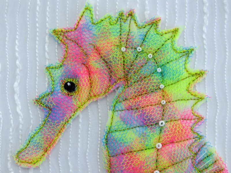 Seahorse close up - small image