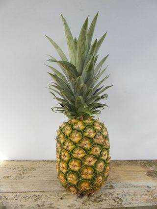 Pineapple