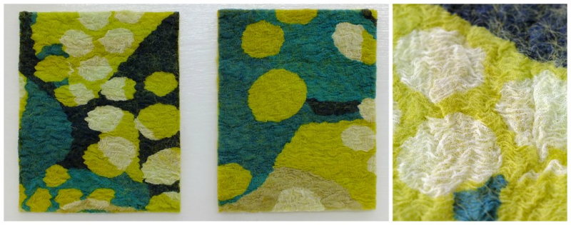 Front and back covers and close up of texture Front and back covers and close up of texture