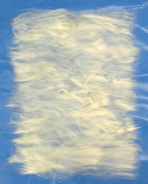 First layer of silk fibre