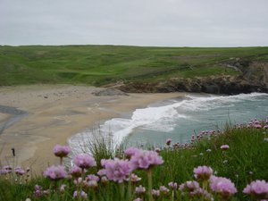 Beach Near Coverack